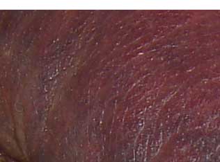 may07 010 - Copy.jpg