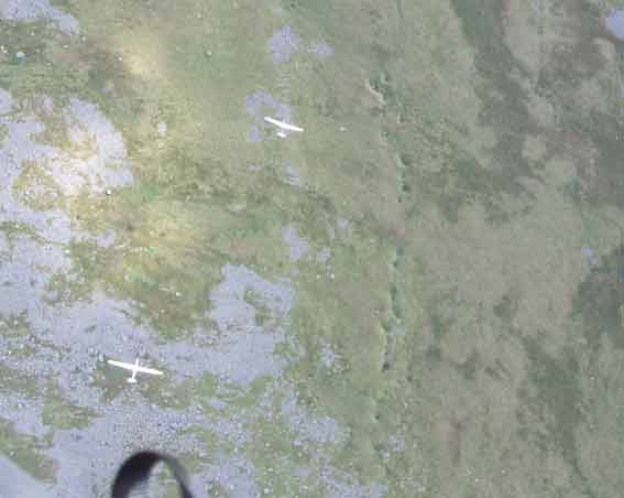 silplanes over wild boar.jpg