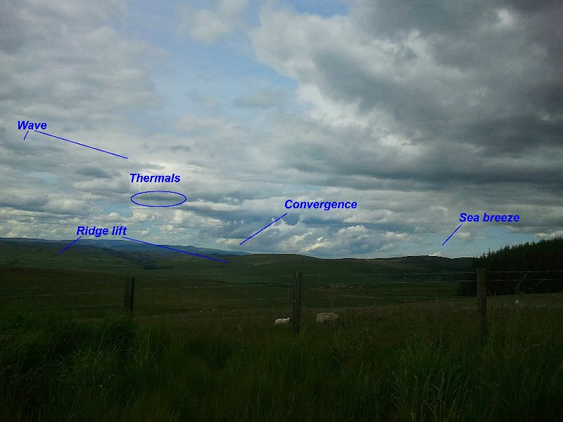 cheviots 016 - Copy.jpg