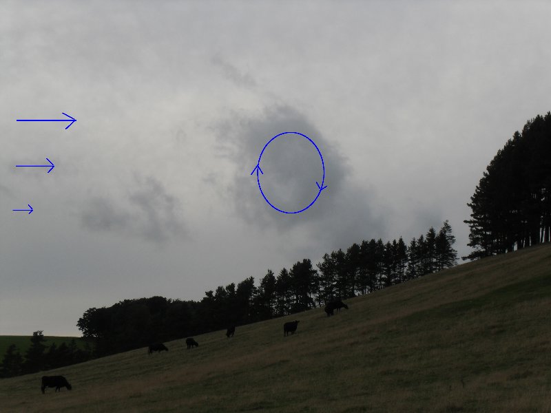 Ingram valley show 033 - Copy.JPG