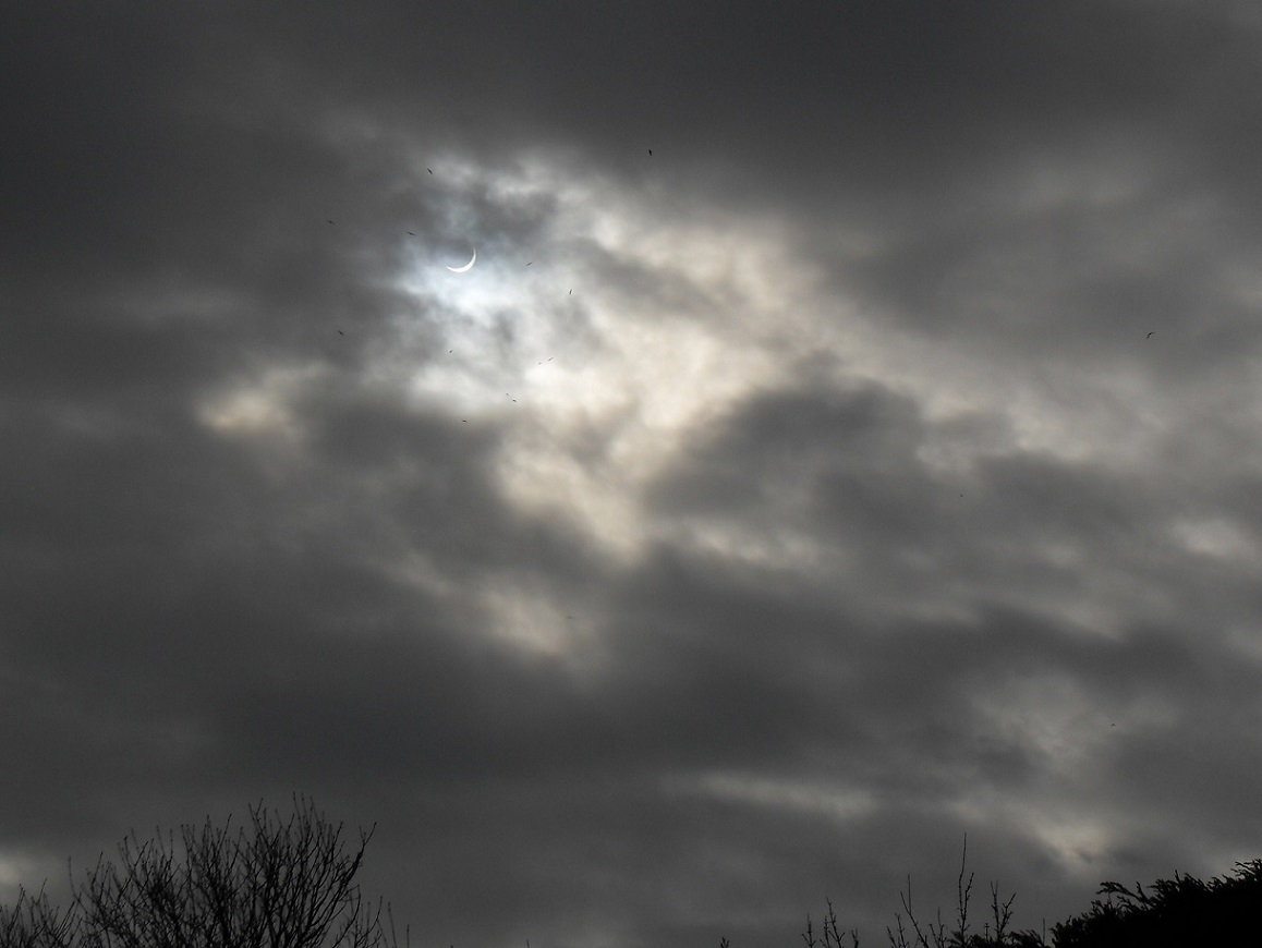 Seagulls circle the light.. strange