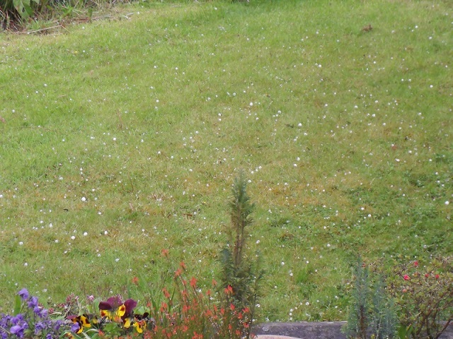 Mega storm 005 (2).jpg