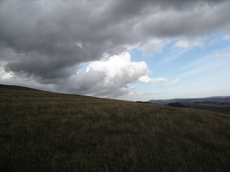 Strong convergence line